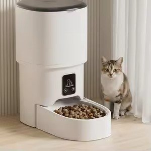 PETMIREO Core C01 automatic pet feeder in a home setting with a cat