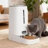 PETMIREO Core C03 automatic pet feeder with food level window and stainless steel bowl