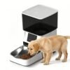 PETMIREO Core C03 automatic pet feeder black and white colourway with dog feeding
