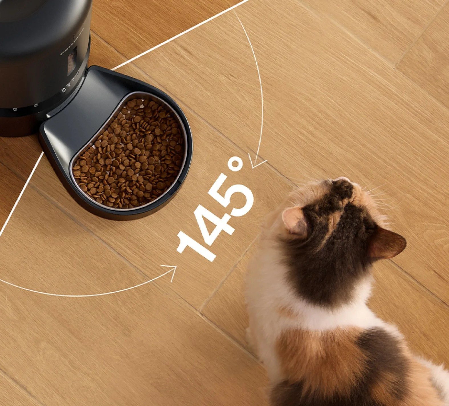 Cat beside a feeding bowl illustrating the 145 degree camera field of view